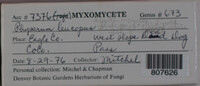Image Associated With the Occurence